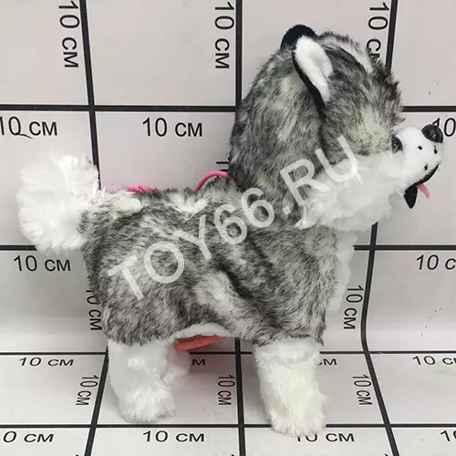 Собачка на поводке 3693