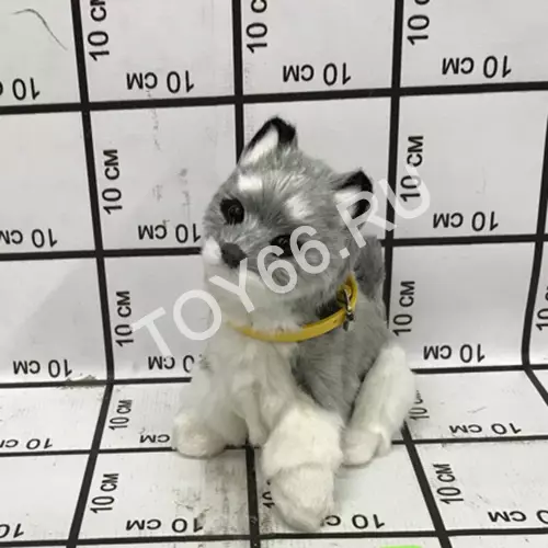 Кот реагирует на звук (хлопок) zhaocaigou-cat