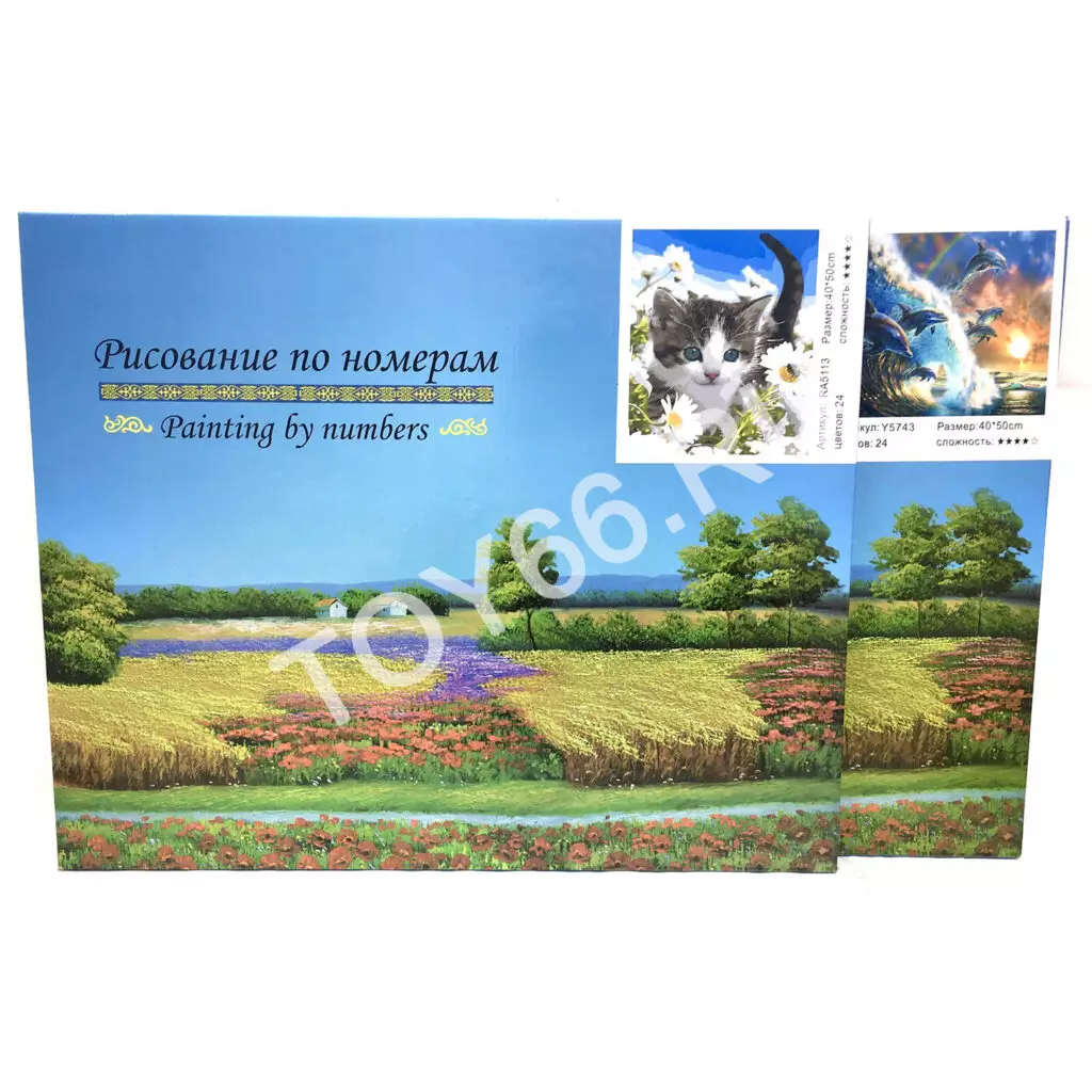 Рисование по номерам 40-50