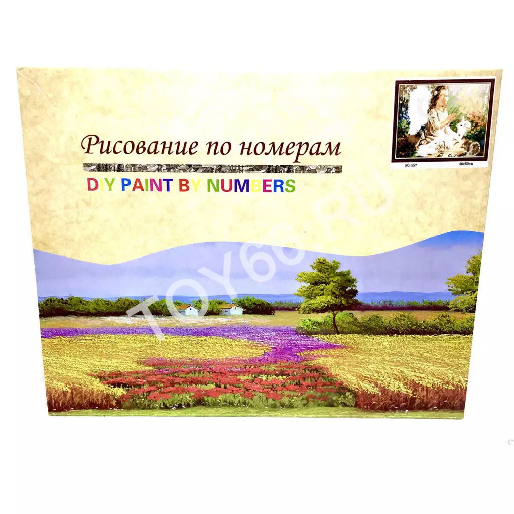 Рисование по номерам 680